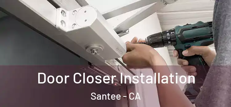  Door Closer Installation Santee - CA