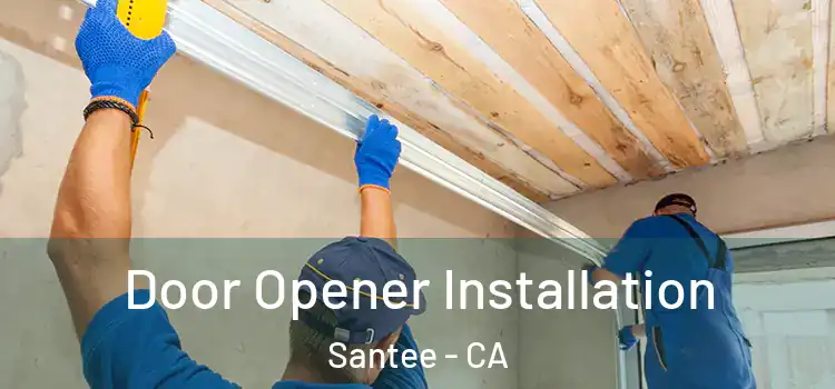  Door Opener Installation Santee - CA