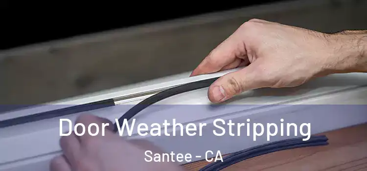  Door Weather Stripping Santee - CA