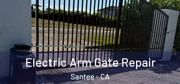  Electric Arm Gate Repair Santee - CA