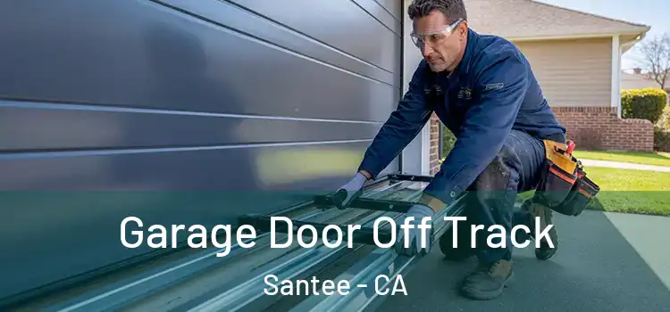 Garage Door Off Track Santee - CA