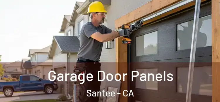  Garage Door Panels Santee - CA