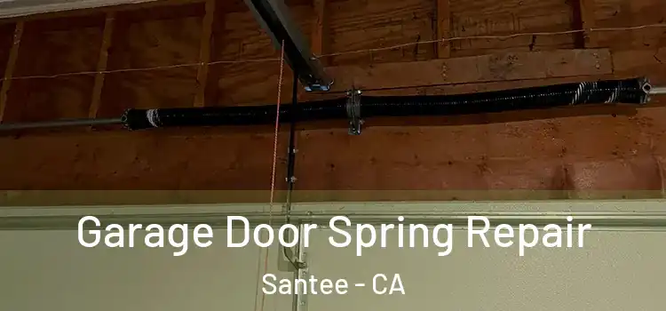  Garage Door Spring Repair Santee - CA