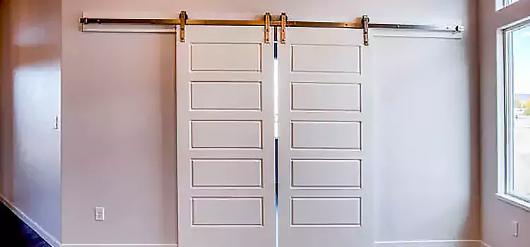 Glass Barn Door with Installation Hardware Kit Santee