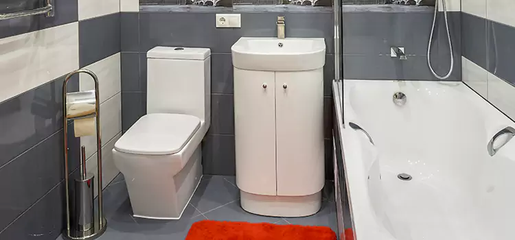 Hansgrohe Shaving Mirror Santee