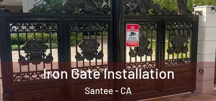  Iron Gate Installation Santee - CA