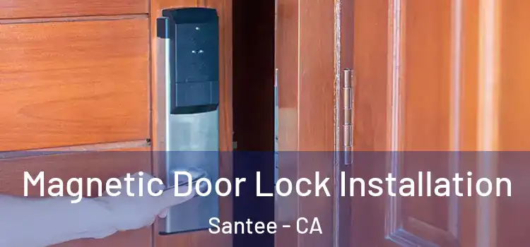  Magnetic Door Lock Installation Santee - CA