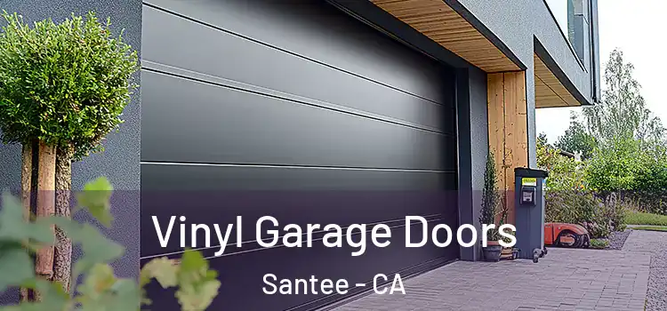  Vinyl Garage Doors Santee - CA