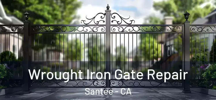 Wrought Iron Gate Repair Santee - CA